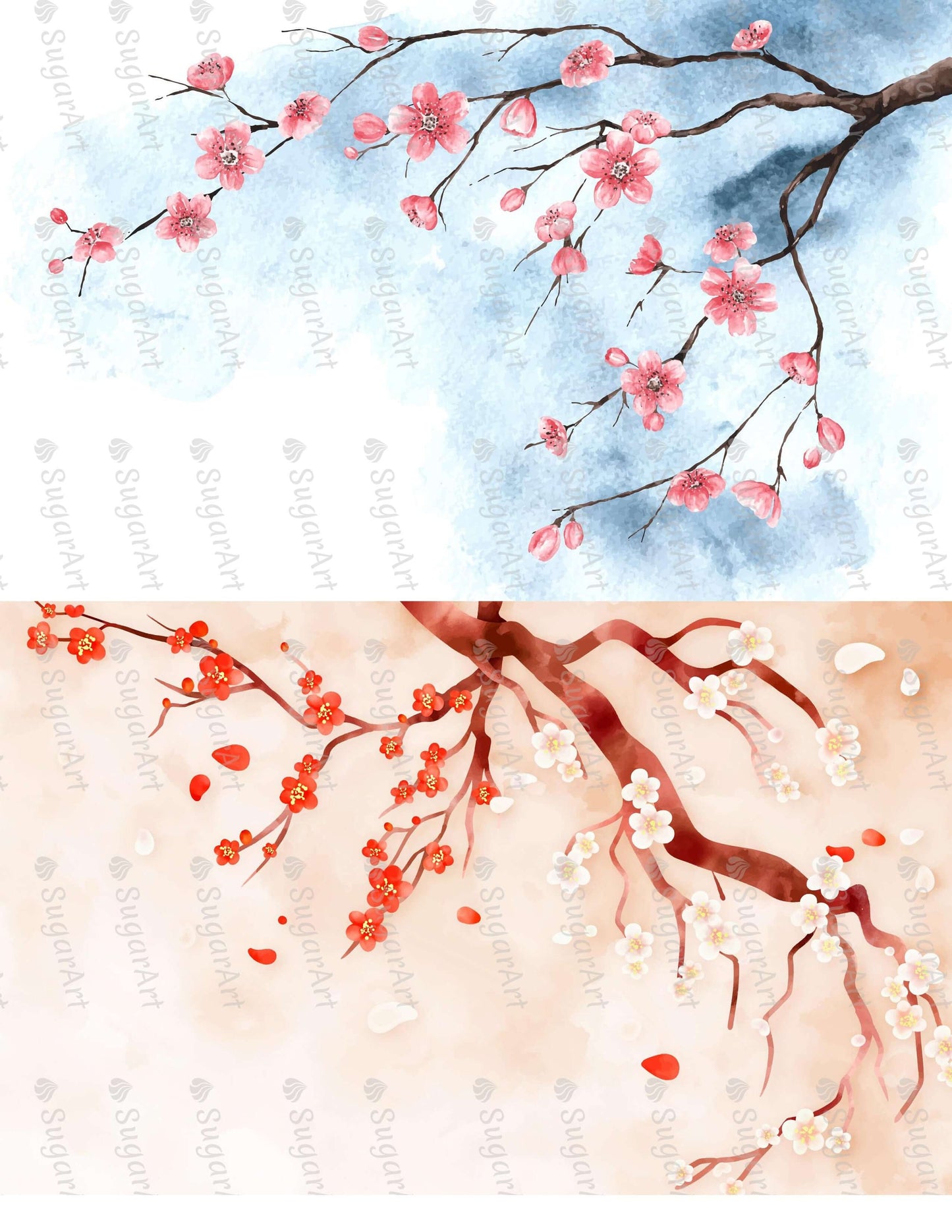 Two Watercolor Cherry Blossom - Icing - ISA238.
