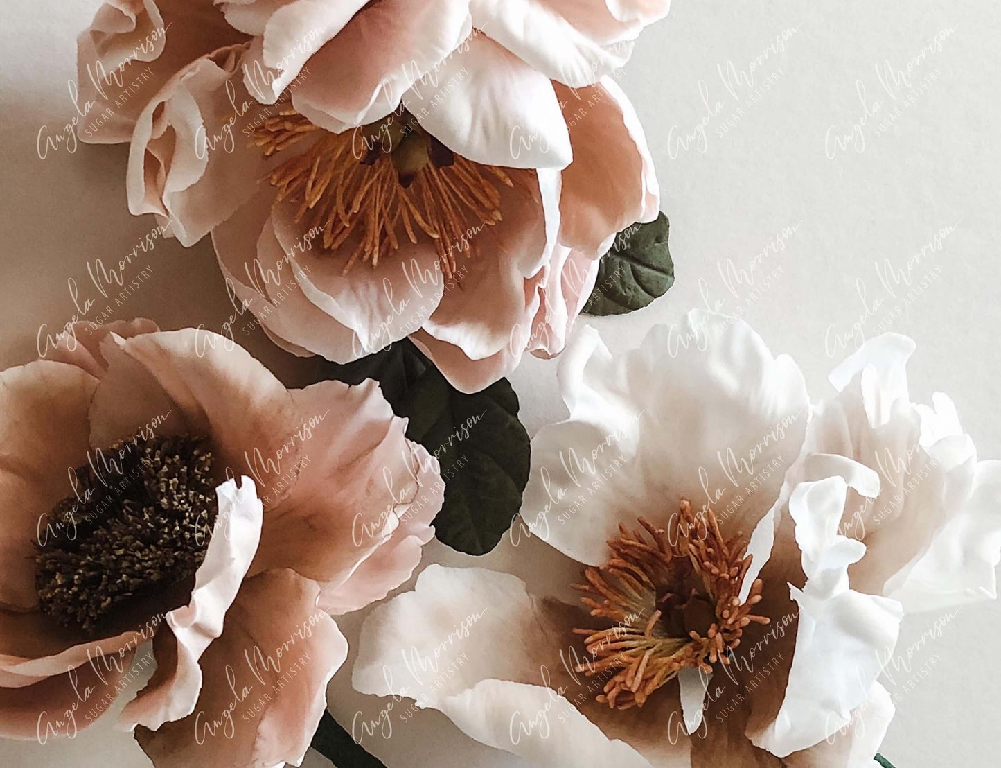 Jazzy Flowers - AMSA014.