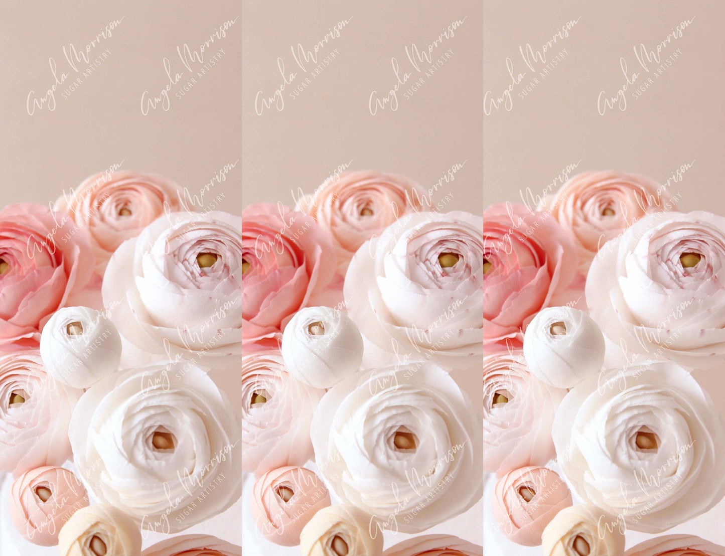 Floral Rush - AMSA015.