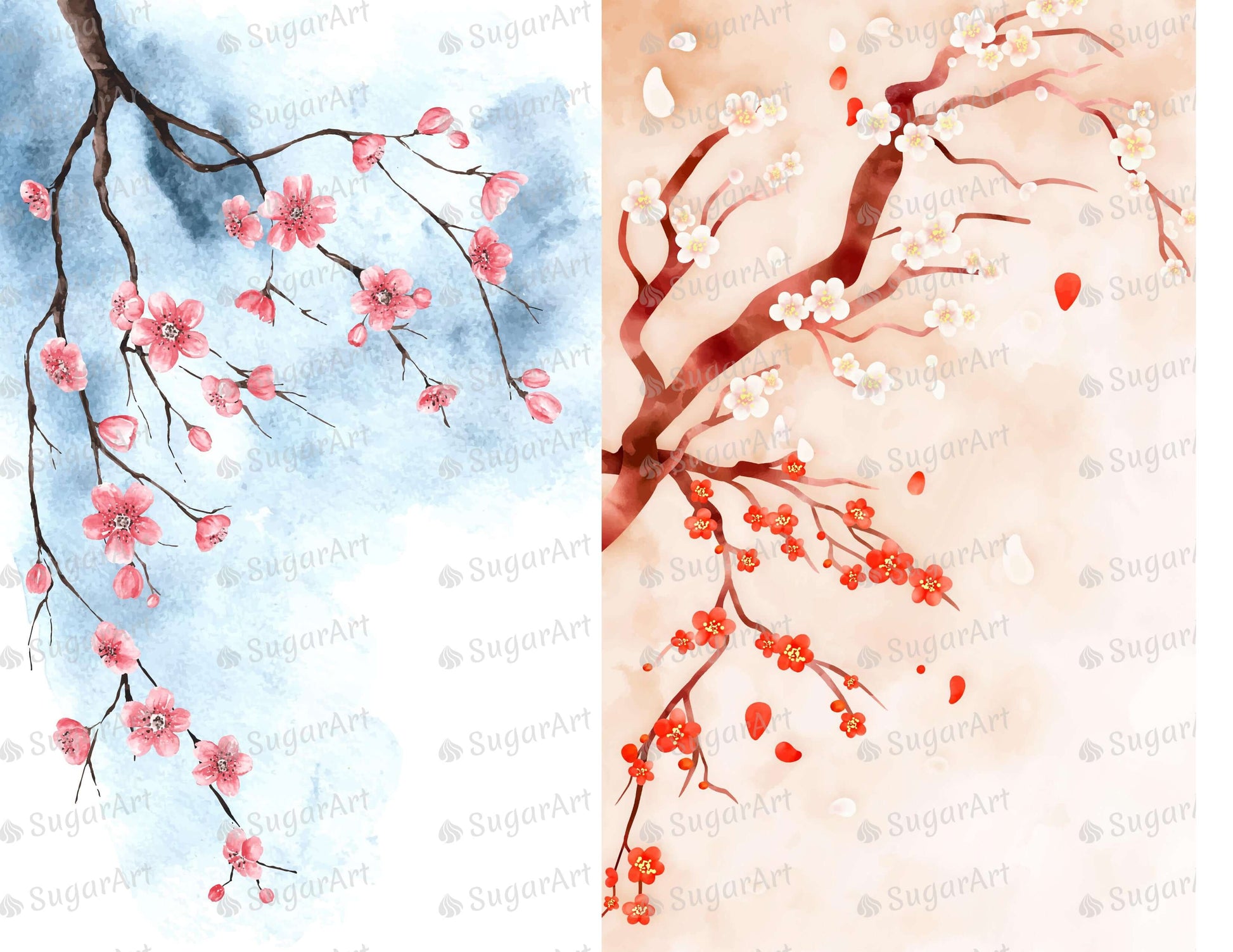 Two Watercolor Cherry Blossom - Icing - ISA238.