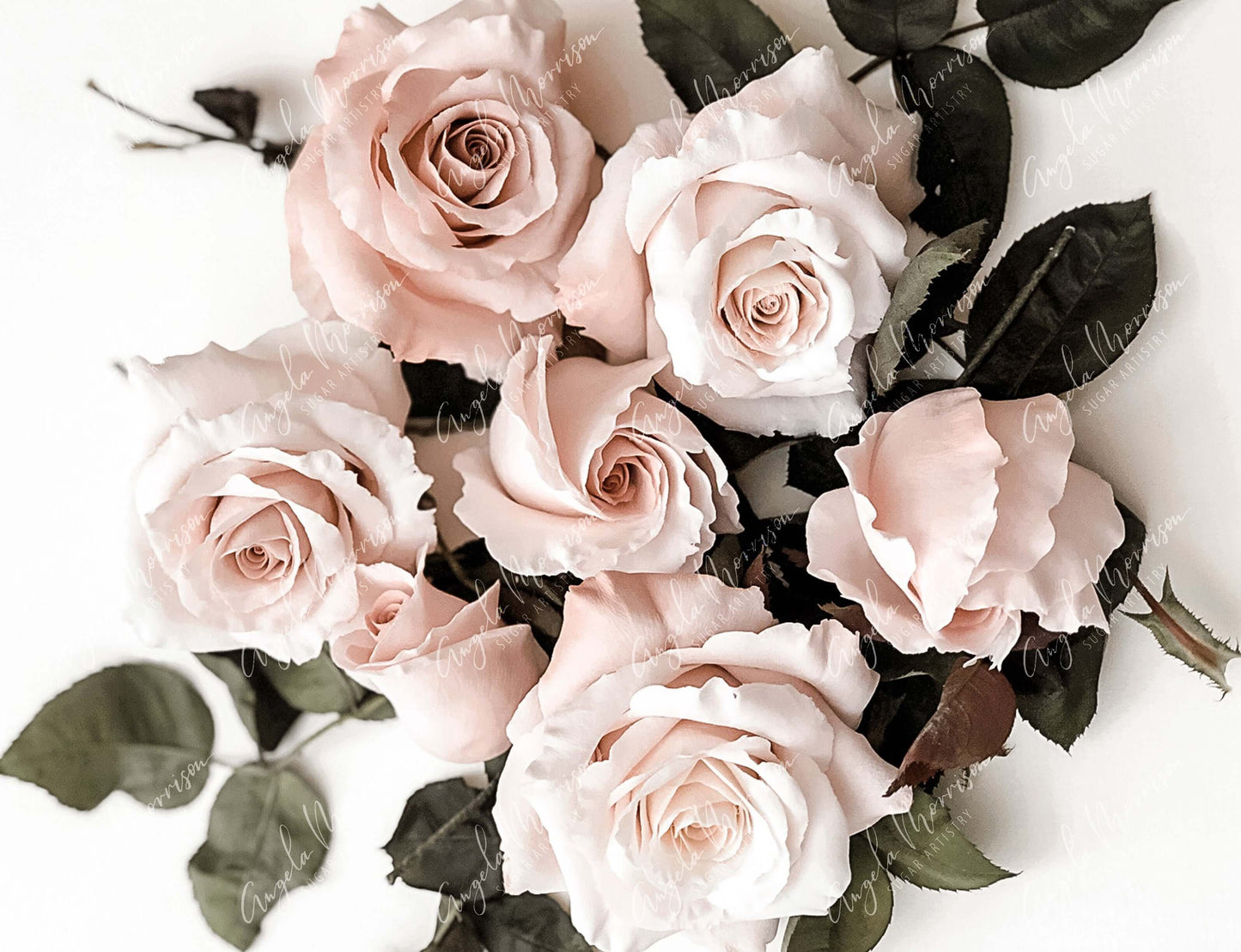 Romantic Roses - AMSA005.