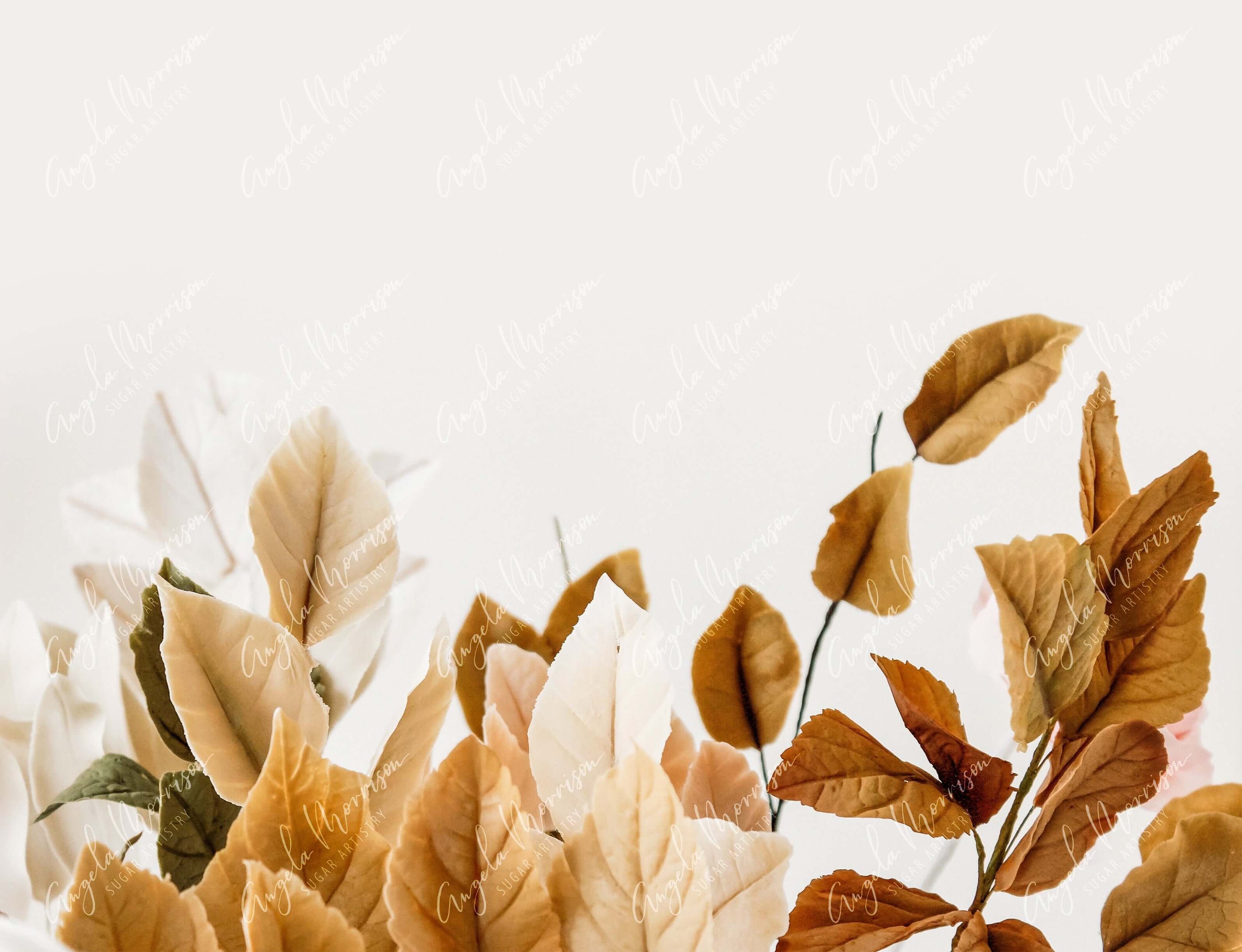 Autumn Bloom Colors - AMSA013.
