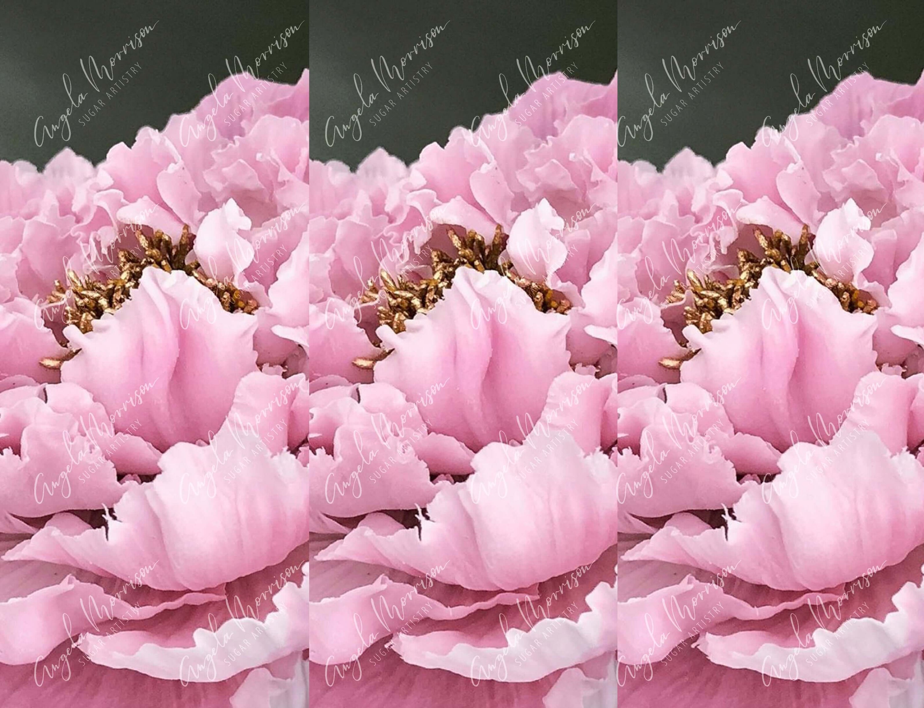 Romantic Pink Flowers - AMSA024.