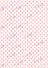 Meringue Transfer Sheets | Sugar Stamps | A beautiful floral pattern - B17M