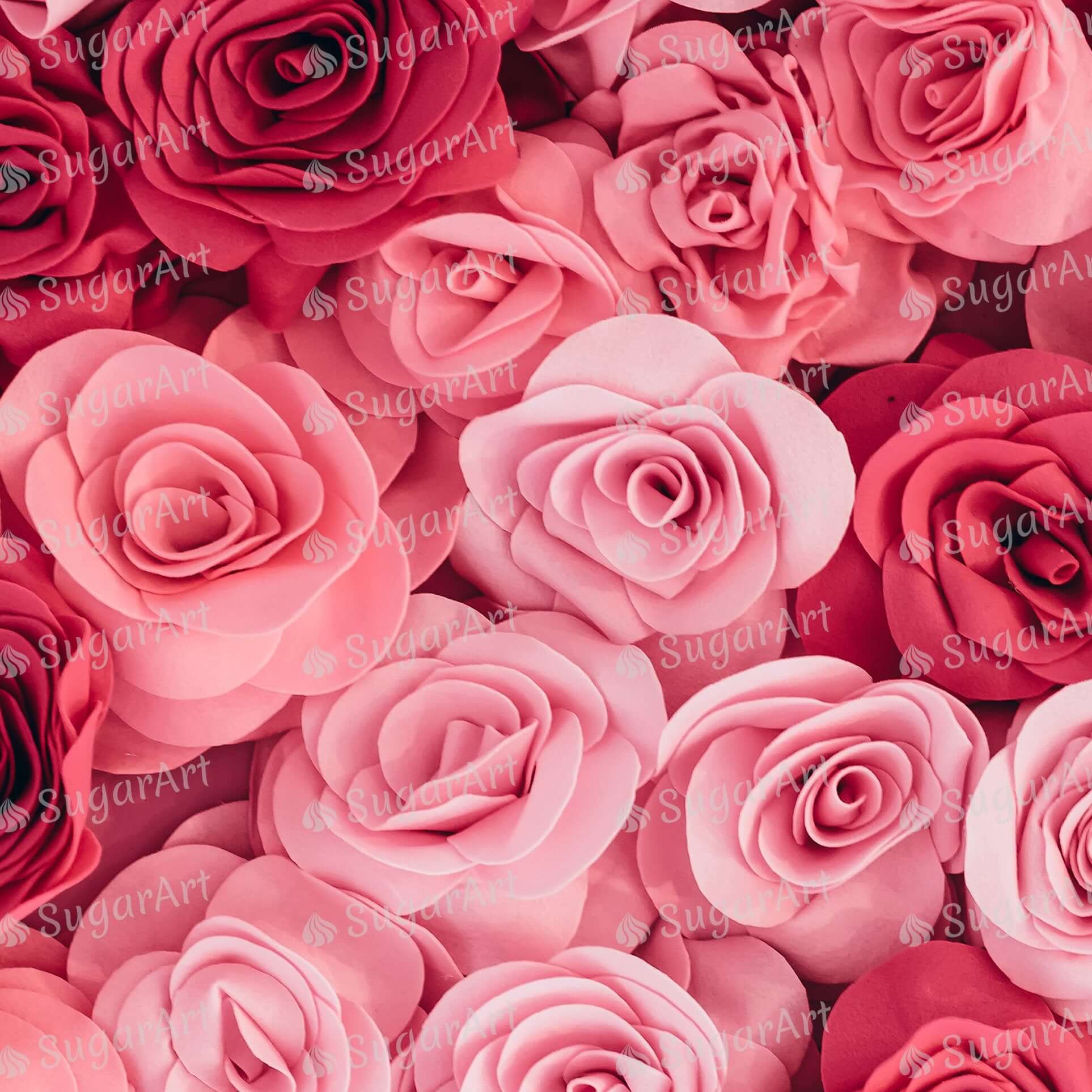 Pink Roses Background