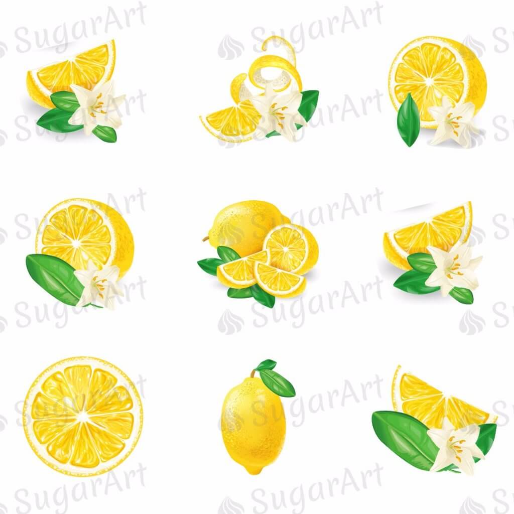 Lemons with Leaves and Flowers - ESA044.