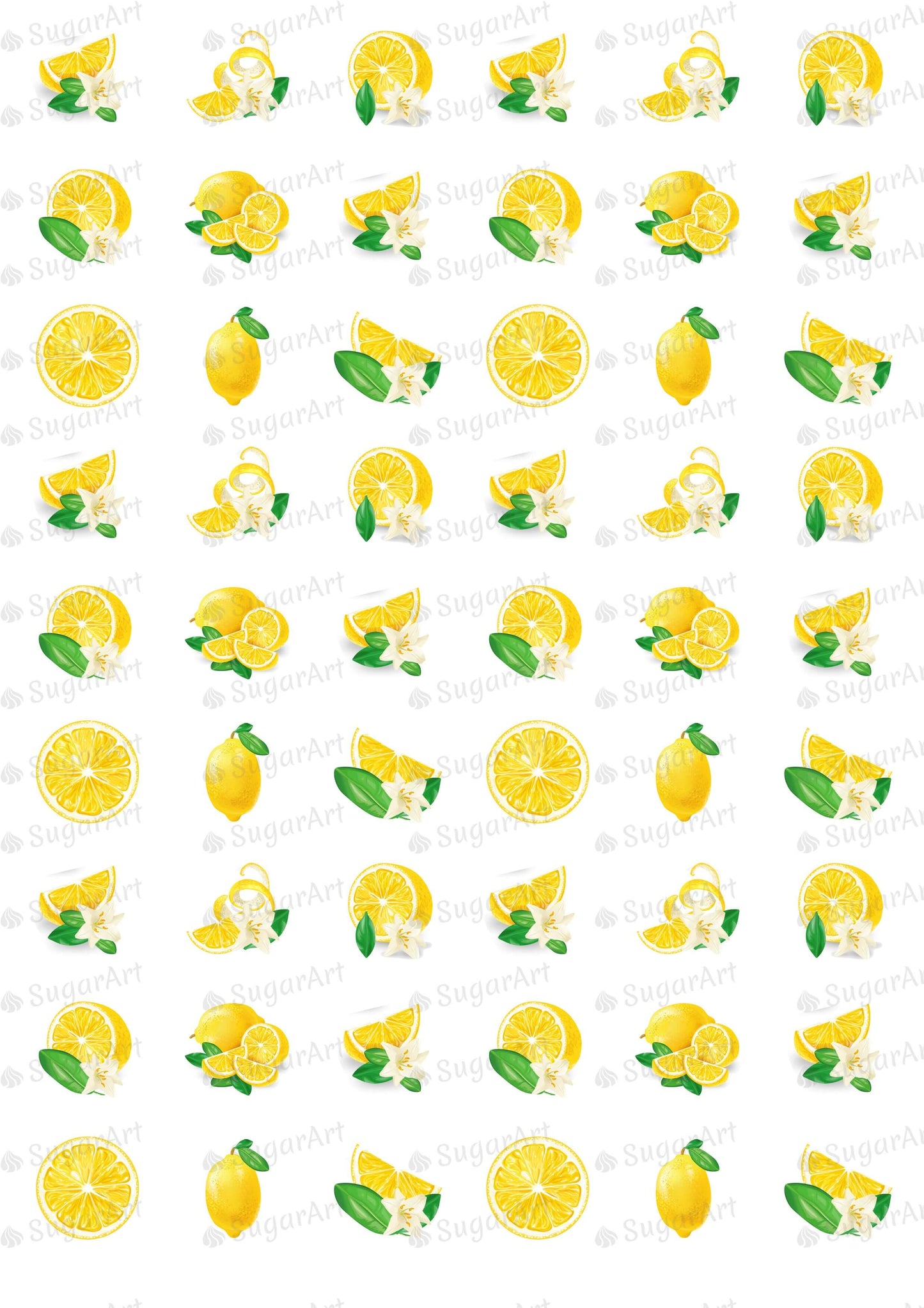 Lemons with Leaves and Flowers - ESA044.