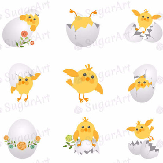 Cute Chicks - HSA022-Sugar Stamp sheets-Sugar Art