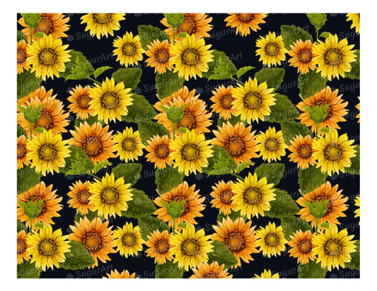 Sunflowers on Black Background - Icing - ISA006.