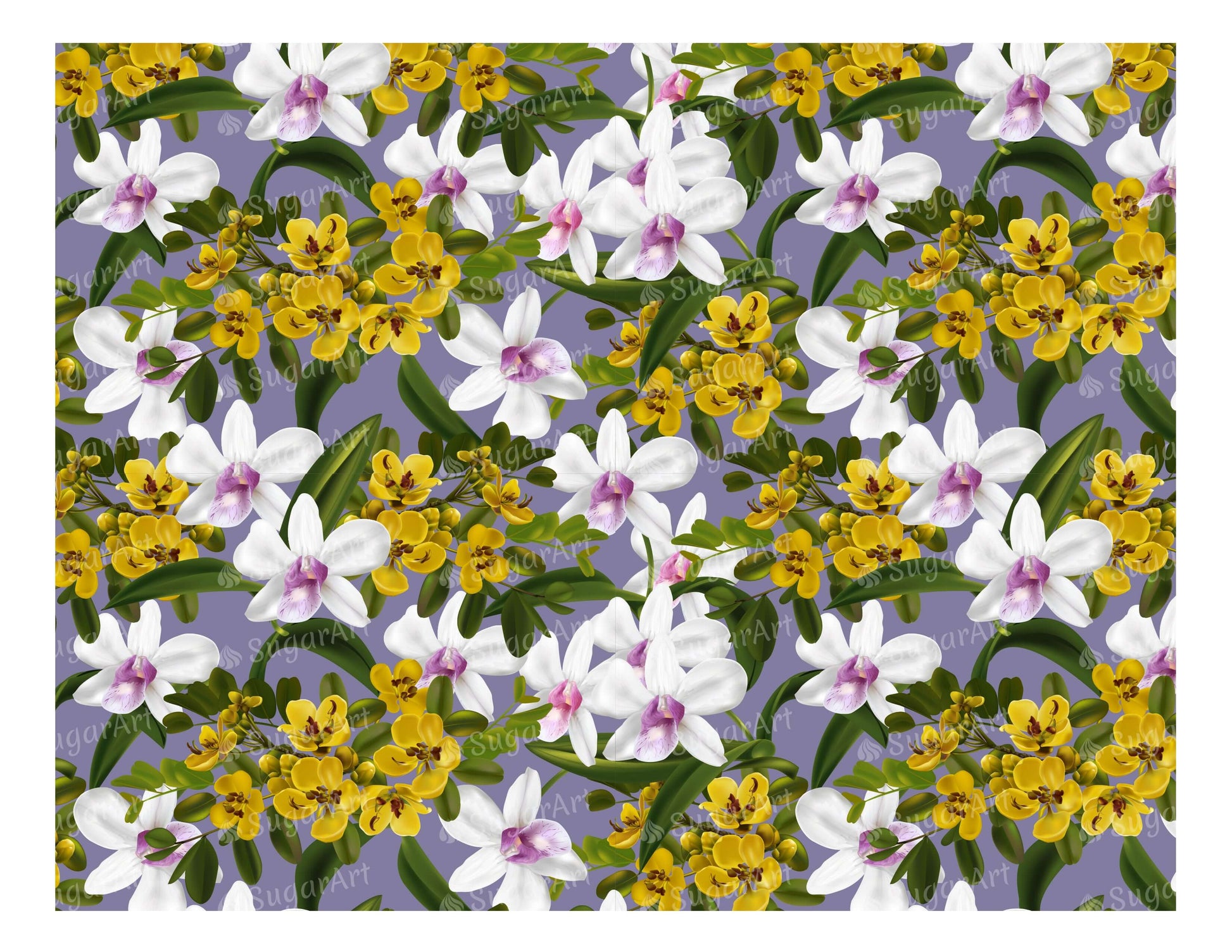 Cassia and Orchid Pattern - Icing - ISA031.
