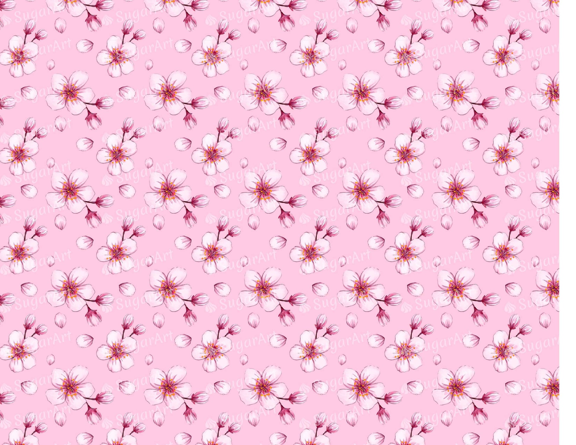 Pink Cherry Blossom Pattern - Icing - ISA058.