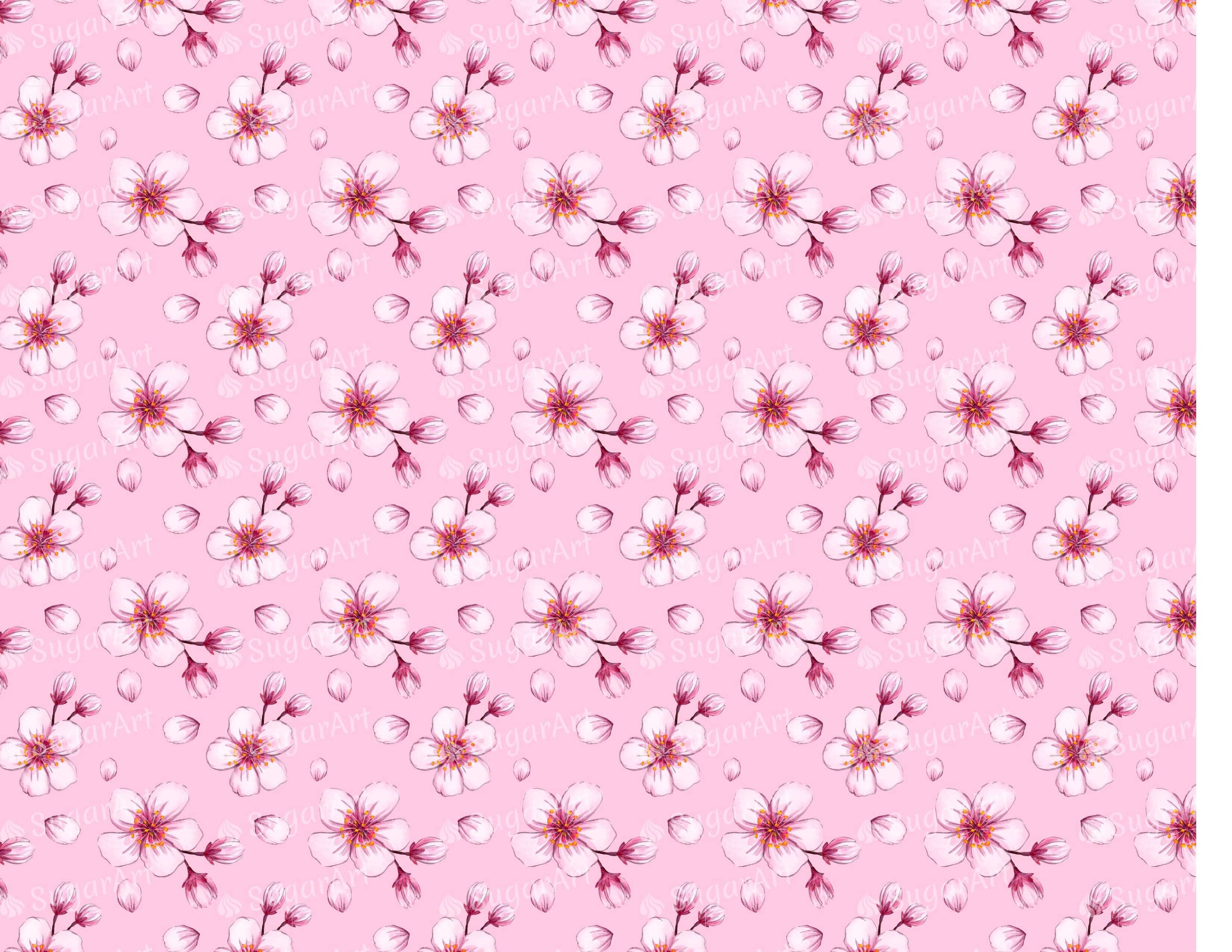 Pink Cherry Blossom Pattern - Icing - ISA058.
