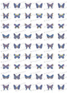 Purple Butterflies - SA14.