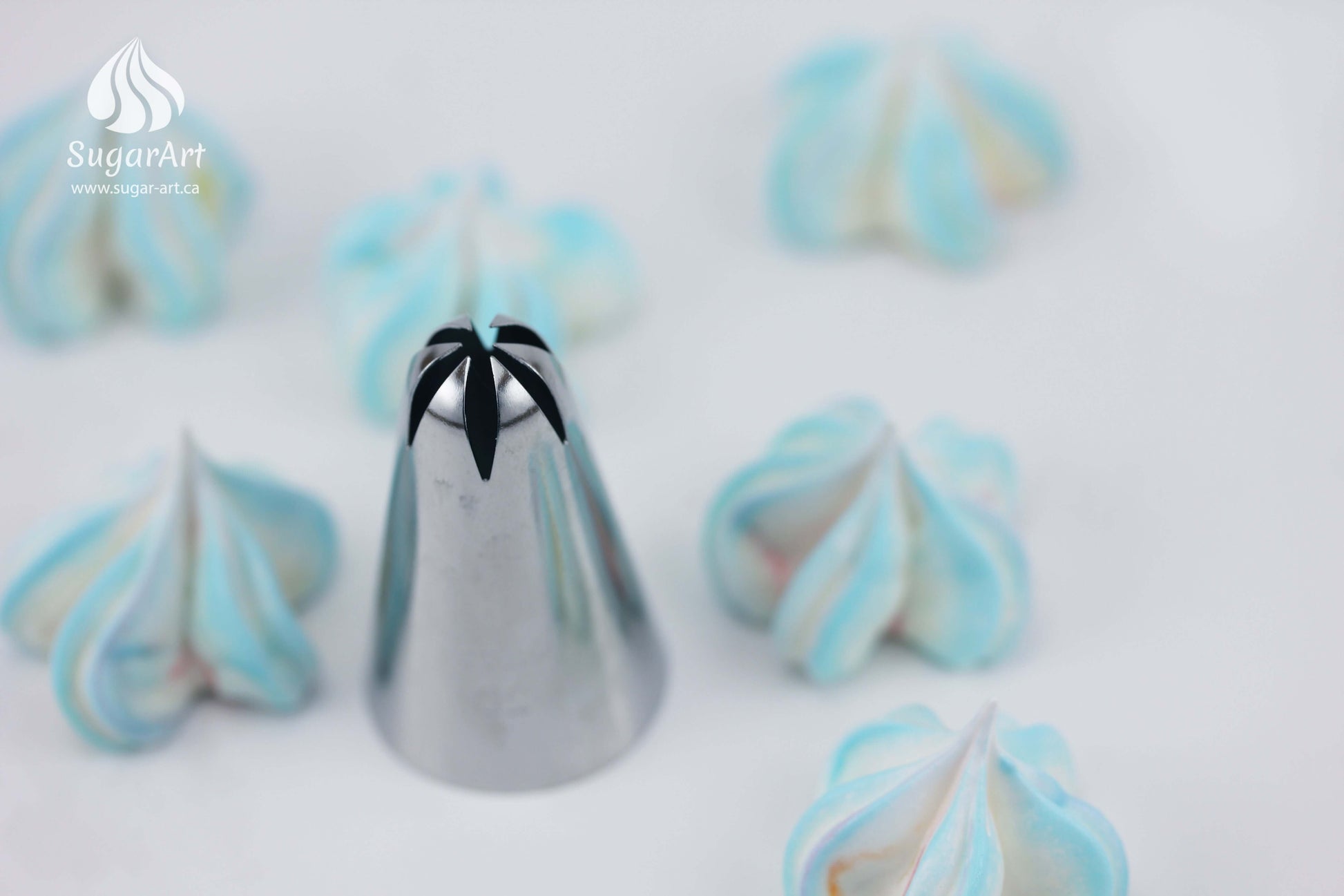 2d Piping Wilton's 2d Large Drop Flower Tip Flower 2d Piping